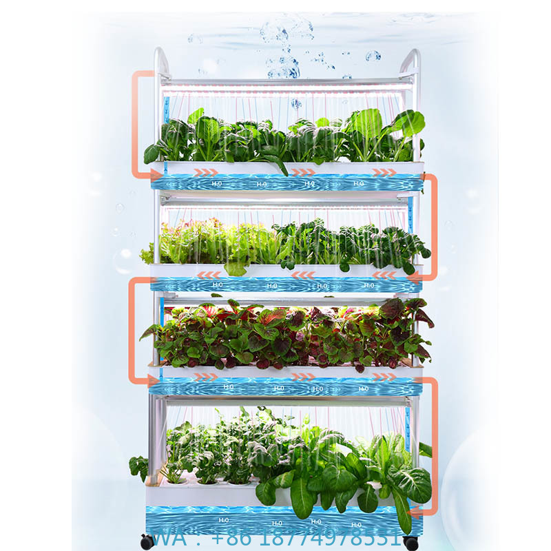 Diy Home Automation System - System hydroponiczny do uprawy roślin, inteligentny