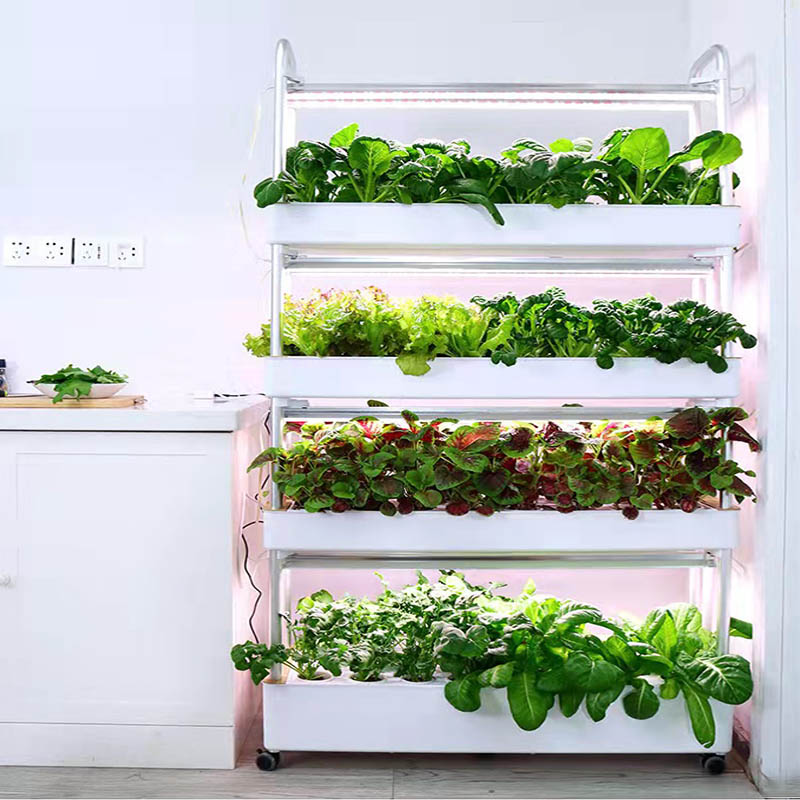 System hydroponiczny do uprawy – Diy Home Automation System recenzja i cena
