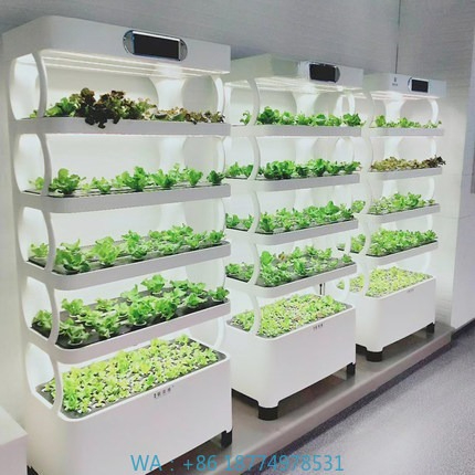 Automatyczny system hydroponic – Diy Automation recenzja i cena